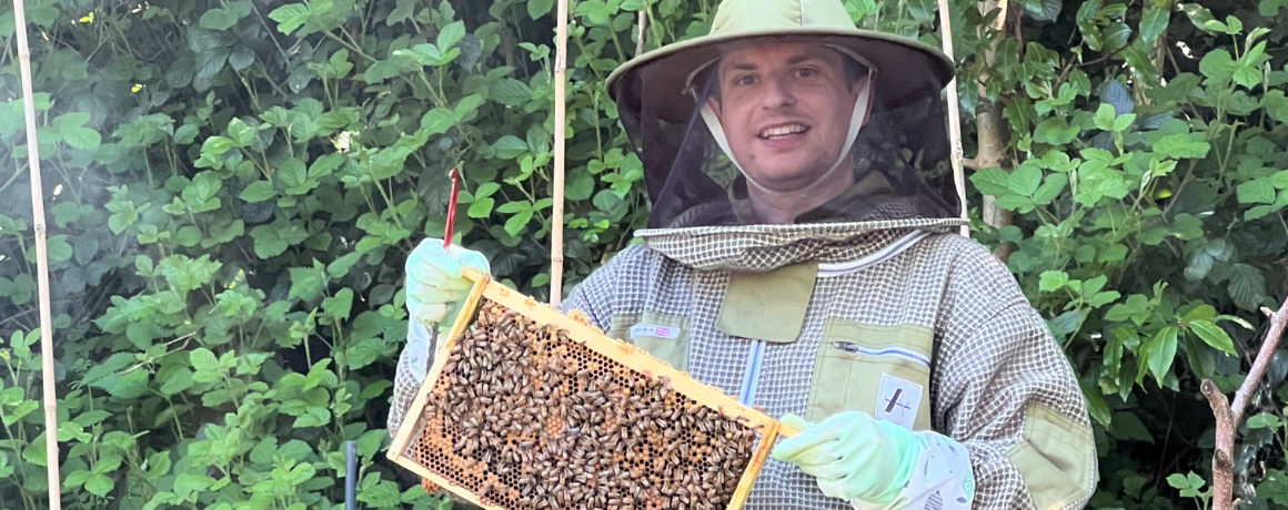 how the 2023 bee season was
